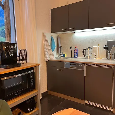 Ferienappartement Schwarzwaldeck In Todtnauberg Exterior photo